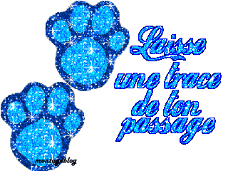 laisse une trace